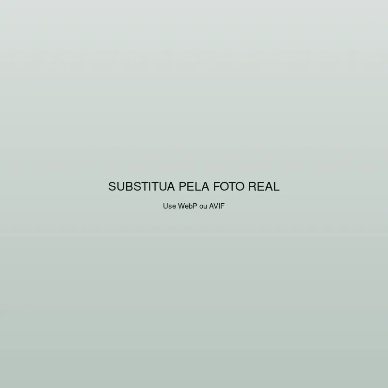 Espaço reservado para foto real de um atendimento de guincho